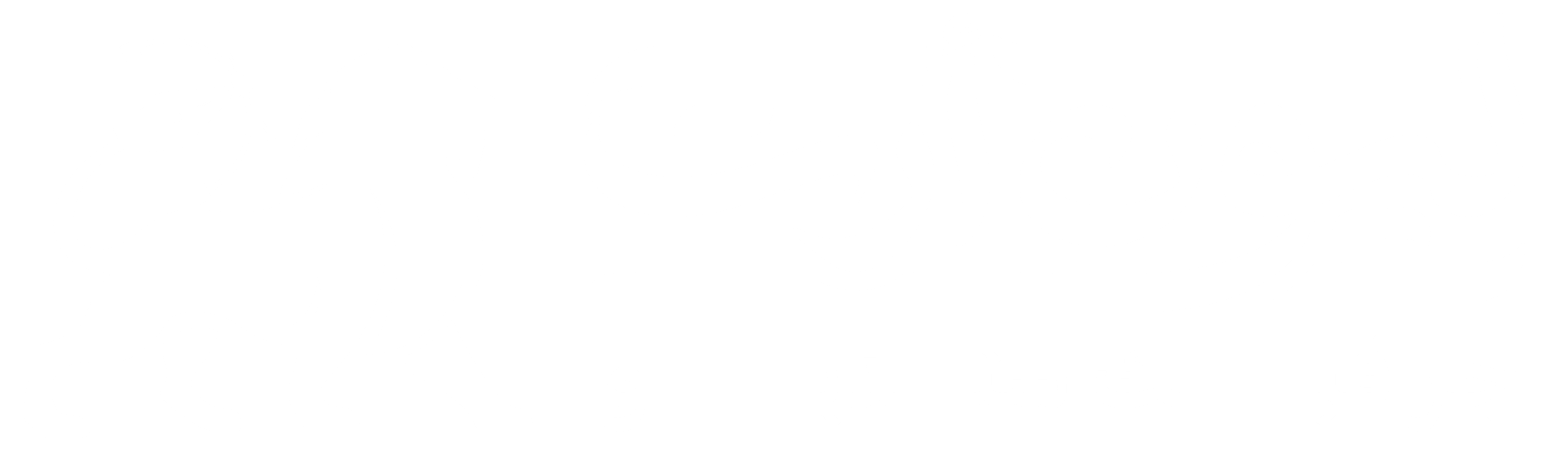 LionArt